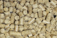 Samlesbury Bottoms biomass boiler costs